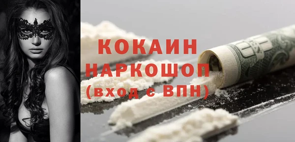 ПСИЛОЦИБИНОВЫЕ ГРИБЫ Вяземский