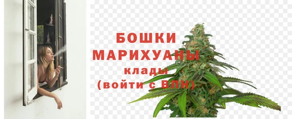 ПСИЛОЦИБИНОВЫЕ ГРИБЫ Вяземский