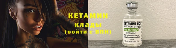 ПСИЛОЦИБИНОВЫЕ ГРИБЫ Вяземский