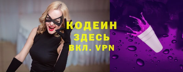 ПСИЛОЦИБИНОВЫЕ ГРИБЫ Вяземский
