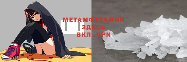 ПСИЛОЦИБИНОВЫЕ ГРИБЫ Вяземский