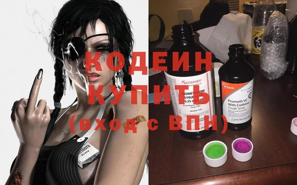 ПСИЛОЦИБИНОВЫЕ ГРИБЫ Вяземский