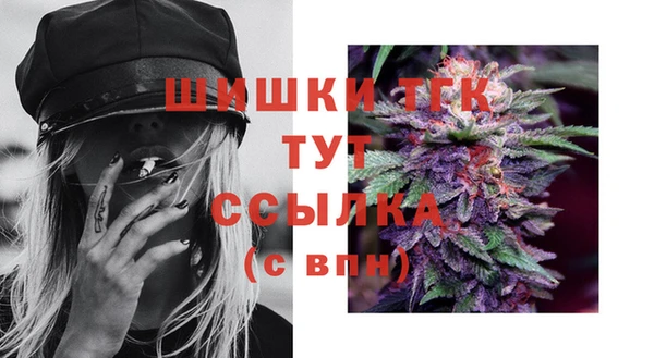 ПСИЛОЦИБИНОВЫЕ ГРИБЫ Вяземский