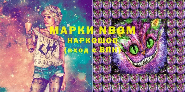 ПСИЛОЦИБИНОВЫЕ ГРИБЫ Вяземский